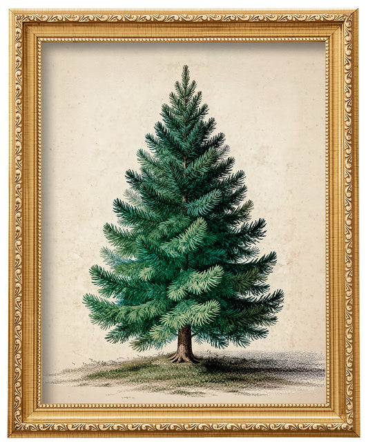 ECGER Christmas Decorations Vintage Wall Art - PineTree Retro Print Winter Decor, Holiday Forest Art Pictures Decoration for Home, Living Room, Office
